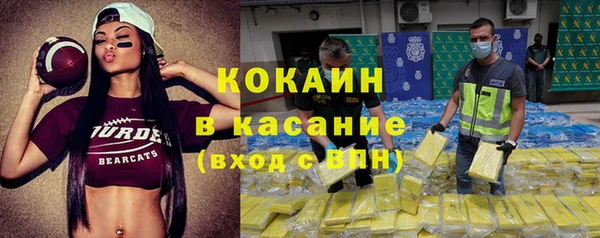 гидра Бородино