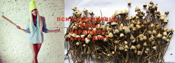 альфа пвп Верея