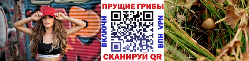 Галлюциногенные грибы Magic Shrooms  Кадников 